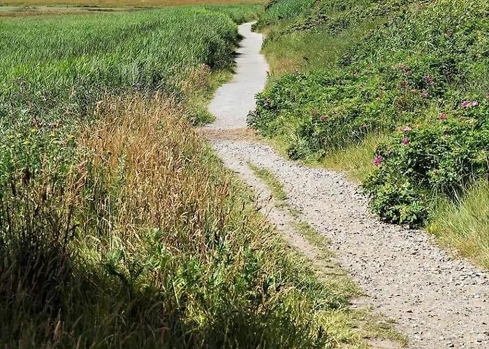 Nyaraló 0395-romo-sonder-frankel-48